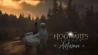 [4K] 🍁 Autumn 🍁Hogwarts Legacy ambient Music and Walking Tour | slow study learn relaxing sunday