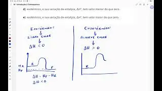 Rea&ccedil;&otilde;es exot&eacute;rmicas e endot&eacute;rmicas