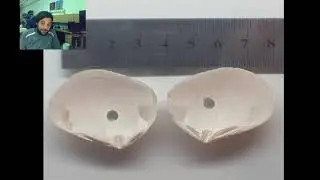 Mysterious Clam Driller