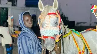 TAPHA SARR GA&Iuml;NDE X&Eacute;LCOM COURSE CHARETTE TOUBA#horse #courseshippiques #cheval #galop #hippique 
