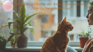 How Energy Healing and Animal Communication Help Us Navigate Pet Grief | Priscilla Daphney