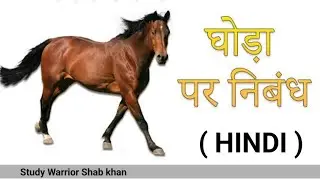 Essay on Horse in Hindi Topic Ghoda|घोड़े पर निबंध हिंदी #hosre #studywarrior