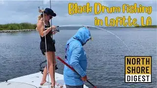 Summer Fishing Adventure with Capt. Phil Robichaux Fishing Charters | Lafitte, Louisiana 🎣