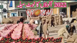 2022 Potato Loot Festival Started|Do Potato Business And Earn Millions In 1 Day|BTO