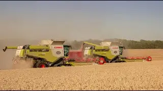 HARVEST IN SWEDEN / 3x Claas Lexion 780tt / Svenstorps Gods