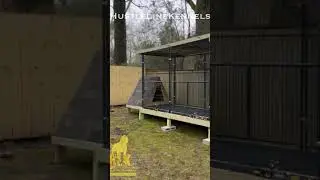 Building our hand built outdoor dog/pet kennel #kennel #dogkennel #petkennel