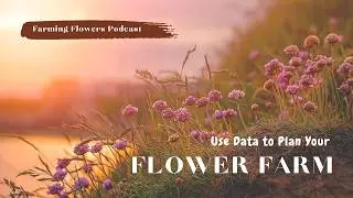 Как спланировать цветочную ферму, используя данные | Подкаст &laquo;Farming Flowers&raquo;, сезон 2, серия 4