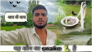Daily routine of my village ✨ rain season video #vlog #reaction #village #rainseason #video #vlogs