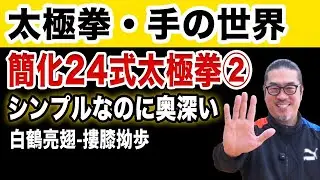 簡化24式太極拳手技②白鶴亮翅-摟膝拗歩【座って楽しむ太極拳】中村げんこうの心地良い太極拳！初心者からベテランまで誰でも気軽にできる太極拳・健康・瞑想・養生・陰陽・癒し・学び・幸福・気功・精神・体操