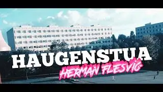 Haugenstua - Herman Flesvig