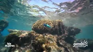 Royal Garrafon Park at Isla Mujeres