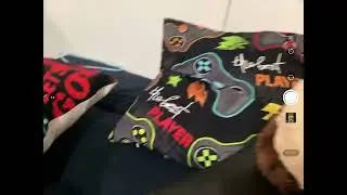 My bob jr is gonna make me famous!