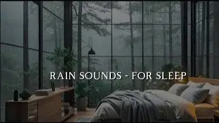 The Soothing Sound of Rain | Climb Into Bed and Feel the Rain Near the Window for Deep Sleep