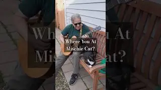 Where You At Mischie Cat? #acousticblues, #fingerstyleguitar #ragtime #johnhurt #originalsong