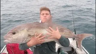 SAMSON FISH LIVE BAITING!!