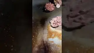 Exploring Local Delicacies Around the World