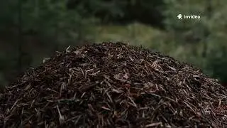 From Waste to Fertilizer: My 30-Day Composting Journey | Beginner&rsquo;s Guide to Composting at Home