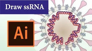 Single Strand RNA | Draw Coronavirus 2/4 | Graphical Abstract | Scientific Illustration