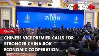 Chinese Vice Premier Calls for Stronger China-ROK Economic Cooperation