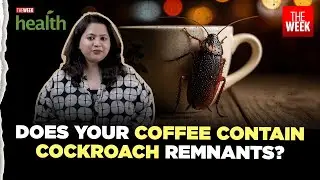 Are cockroaches in coffee harmful to health? Here's what you need to know | THE WEEK Health Special