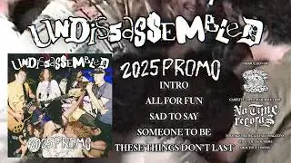2025 PROMO - UNDISSASSEMBLED (FULL TAPE) [punk, skate punk, hardcore punk, pop punk]