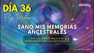 D&Iacute;A 36. Perdono y sano mis memorias ancestrales [Programa Sanar el clan familiar]
