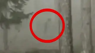 5 Foggy Monsters Caught on Camera