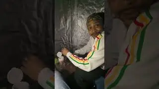 Erster legaler 420 Day in Germany Erlangen - R&uuml;ckblende Bobby Kush