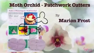 Moth Orchid by Marion Frost - Patchwork Cutters