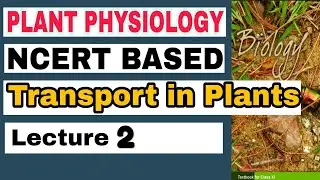 NCERT Ch-11 Transport in Plants Class XI Plant Physiology lecture 2 Boards