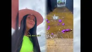 # Funny Video Compilation #Humor #Relaxation #Perspective Challenge #Go Viral #Recommended for You😘😝