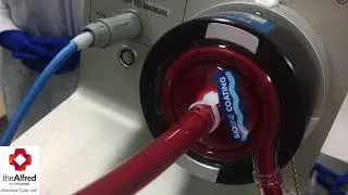 ECMO Air Embolism Demonstration