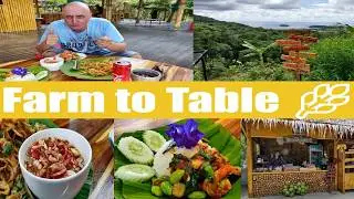 Organic Restaurant In Phuket The Green Heart Garden  KATA BEACH