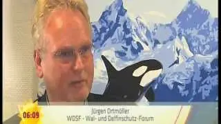 SAT1 Delfinrettung vor Hawaii - WDSF-Statement