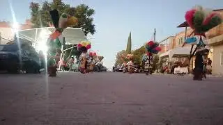 Casta De Guerreros Toltecas de Ags 