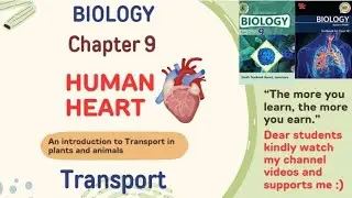 Human heart structure and functions | How the Heart Works in Urdu/Hindi | Class 9 biology sindhboard