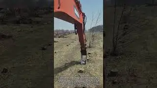 Tree Root Removal With Heavy Machinery After Logging