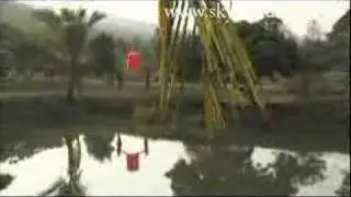 Orange Flying Chinese Lantern released in Thai countryside
