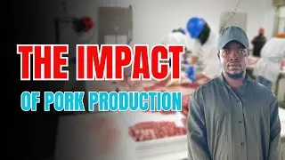 What's the Impact of Pork Production Business in Pig Farming