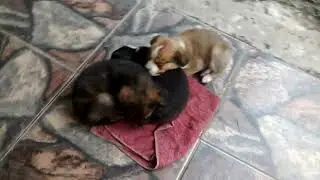 21 de agosto de 2018