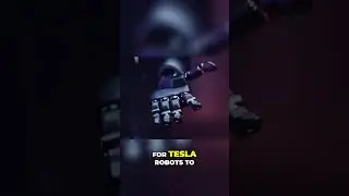 What Do You Want from Tesla's Optimus Robot?