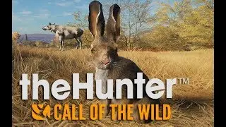 The Hunter Call Of The Wild | Jackrabbit Close Up (4k Max Settings )