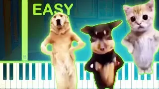 CHINESE BATH SONG MEME - EASY Piano Tutorial