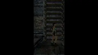 Life Could Be Worse: Lara Croft vs. Spiders