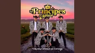 Aprendí a Amar/ No Puedo Estar Sin Ti / Sufro y Lloro