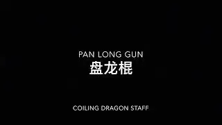 Pan Long Gun Coiling Dragon Staff of 彭清 Peng Qing