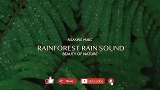 1 HOURS BLISSFUL NATURE|Relaxing Rain sound |Slow Deep Sleep Sound|Rain Sound|Meditation Rain sound|