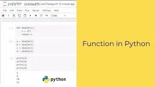 Python Function | Python Tutorial for Beginners