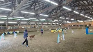 Paris' Redbone Coonhound Agility Practice -- class 12.9.25 unedited 