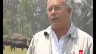 GANADERIA Camponuevo, Lima PERU 2 de 2